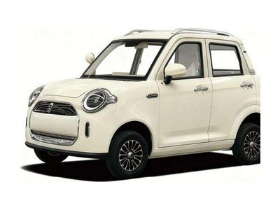 Electric Passenger Cars