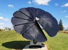 Solar & Renewable Energy