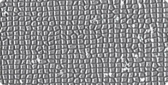 Swimming Pool Side Floor 2.5mm (Grey)